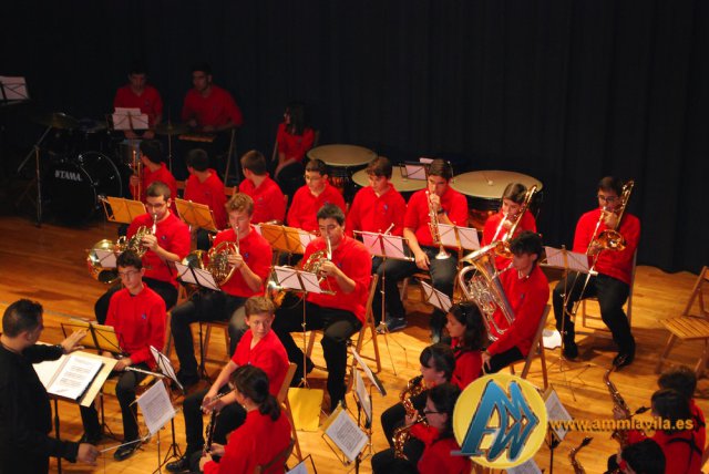 Concert Banda Jove Sta. Cecilia